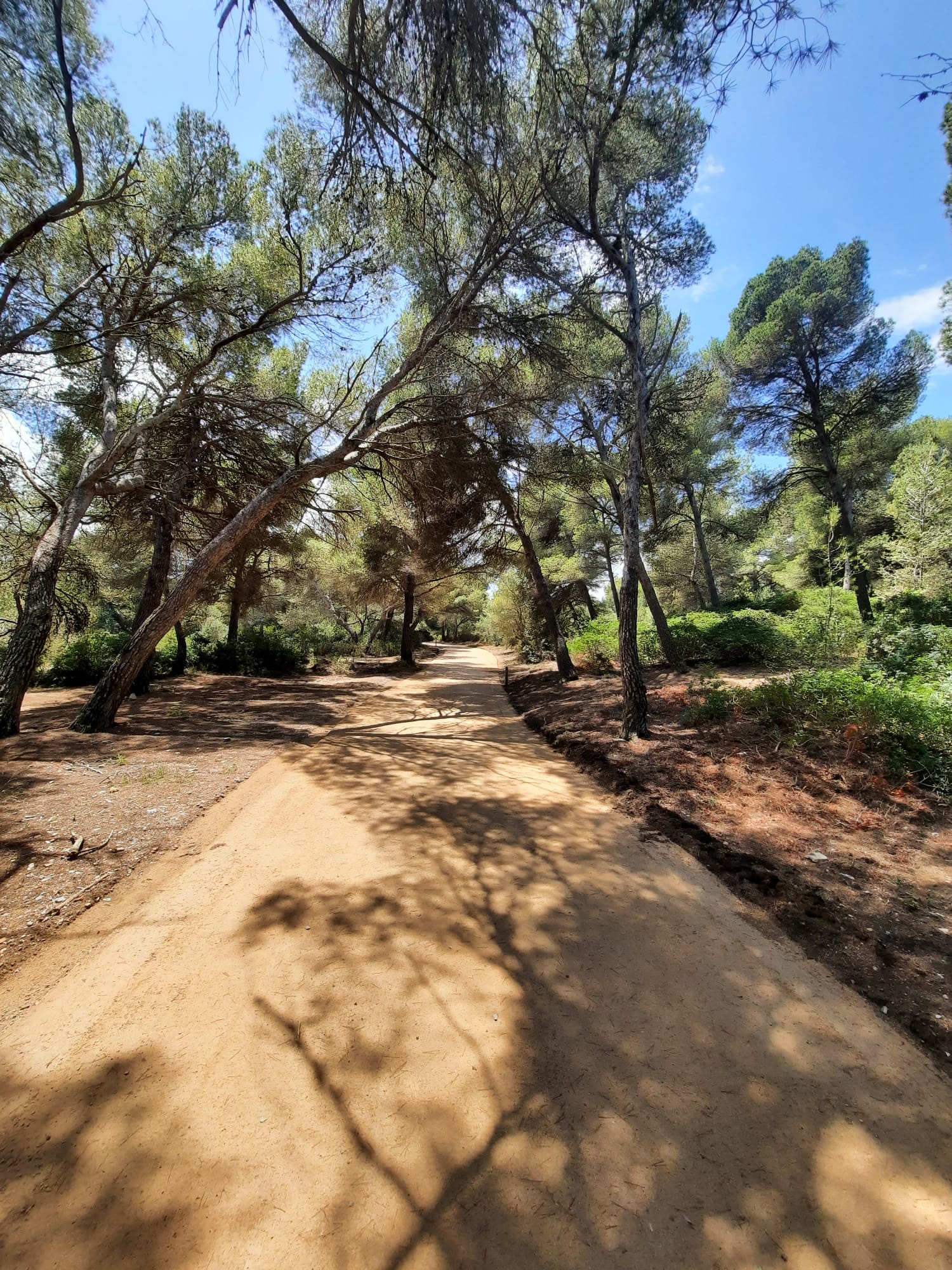 Rutas de senderismo y cicloturismo de Santa Margalida, Mallorca, con el estabilizador hidráulico i.tech STABILE de FYM-HeidelbergCement